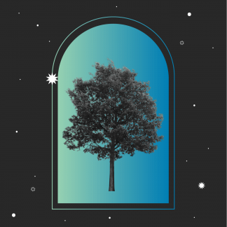 tree of life tarot
